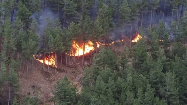 Гърците забраниха влизането в гори заради риск от пожари