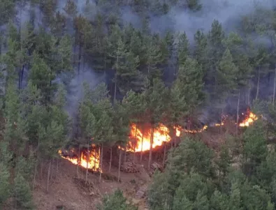 15 пожара продължават да са активни на територията на Македония