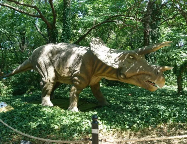 Откриха изложбата „Живите динозаври” в морската градина на град Варна