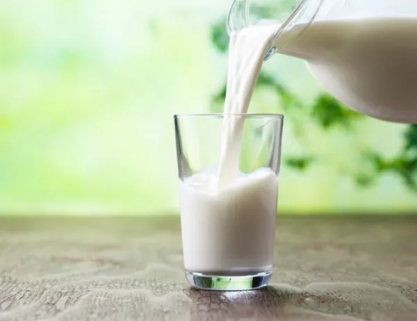 Голяма част от млякото, внасяно у нас от чужбина, е с лошо качество