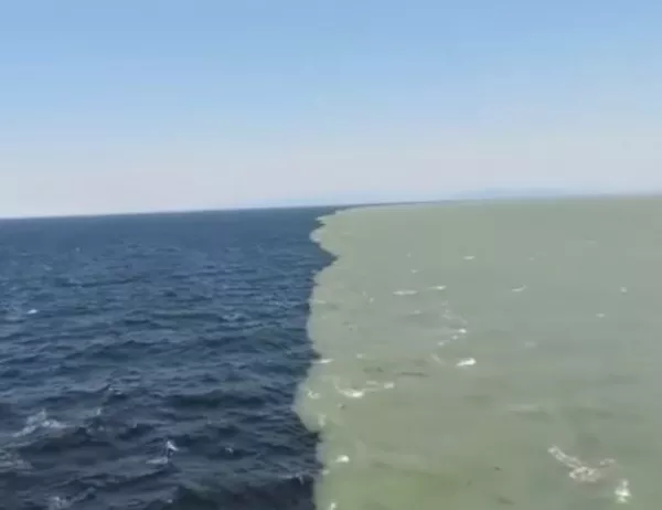 Видео: Границата между Атлантическия и Тихия океан