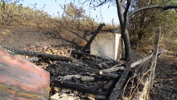 Военни се включиха в гасене на пожар в Хасковско