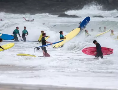 Морска видра тероризира калифорнийски сърфисти (ВИДЕО)