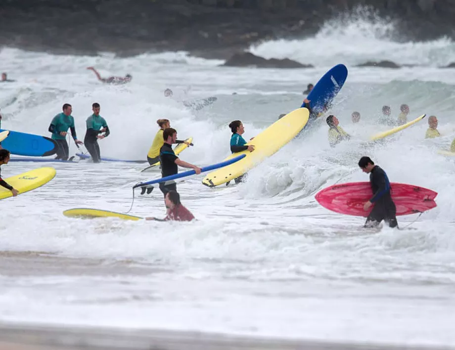 Морска видра тероризира калифорнийски сърфисти (ВИДЕО)