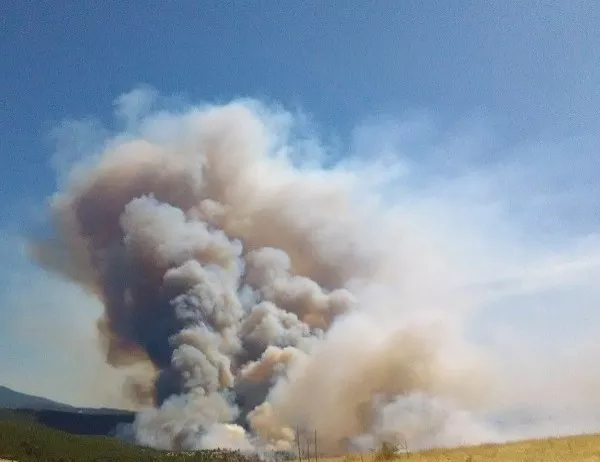 Калифорния обяви извънредно положение заради горските пожари