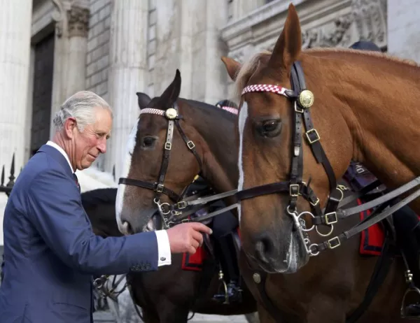 За разлика от британската кралица - нейните коне излизат в пенсия