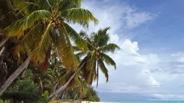 Как се живее на райския остров Мавриций?