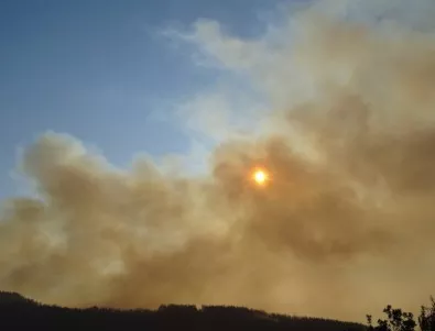 Пожар в ниви край Камено спря движението по АМ 