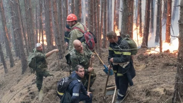 Нов пожар в Благоевградско