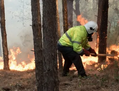 134 пожари са гасени днес в страната
