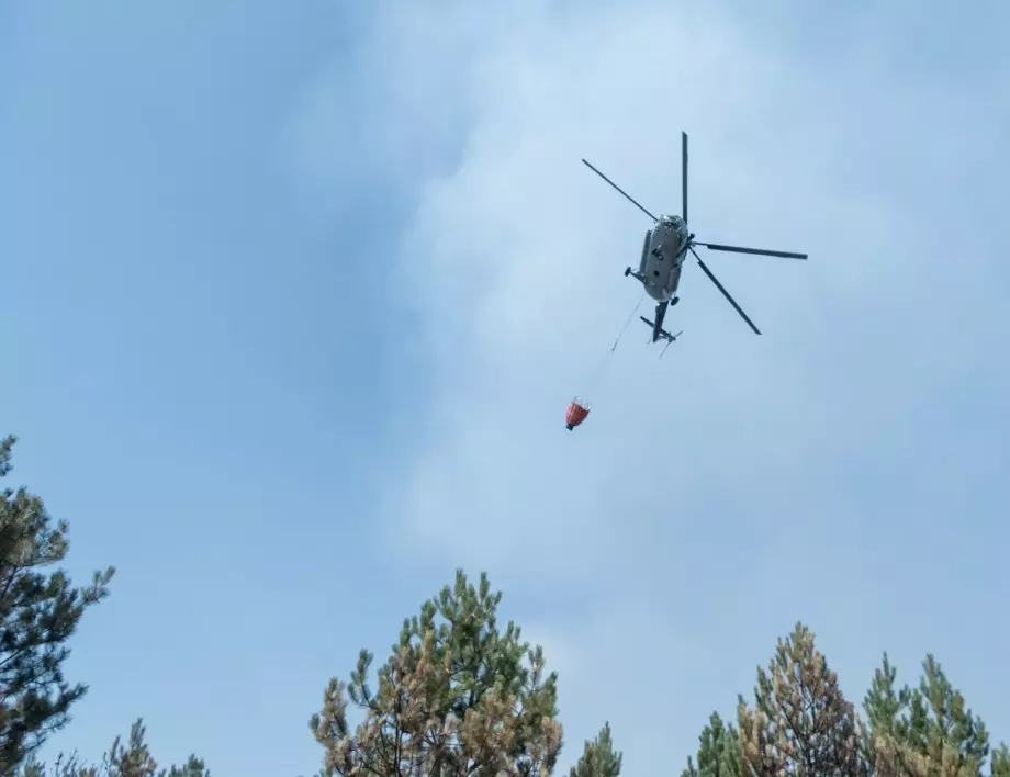 Ескперт: Освен хеликоптери за борба с горските пожари, трябват и пилоти, които да ги управляват