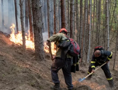 Пожарът в Рила гори на около 300 декара площ