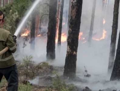 Експерт: Изгорялата почва край Кресна е предпоставка за екологична катастрофа