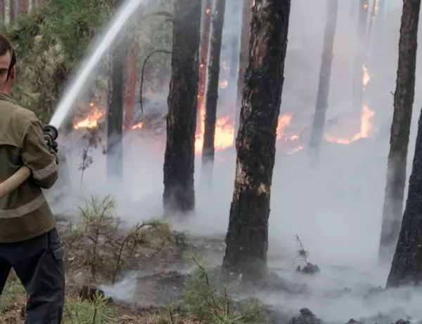 Експерт: Изгорялата почва край Кресна е предпоставка за екологична катастрофа