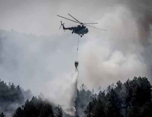 Огнените стихии в Калифорния взеха нови жертви