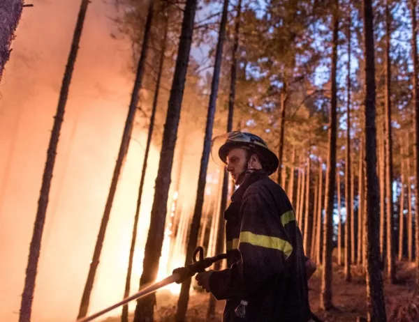 Пожарът в Кресненско отново се разгоря (ВИДЕО)