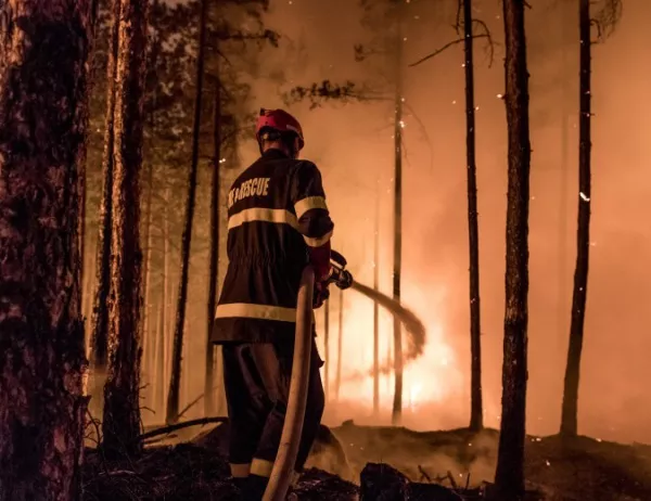 Големи пожари в Калифорния убиха вече 10 души