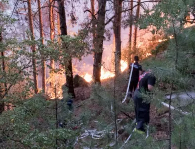 Локализиран е пожарът в труднодостъпна местност в Пирин планина