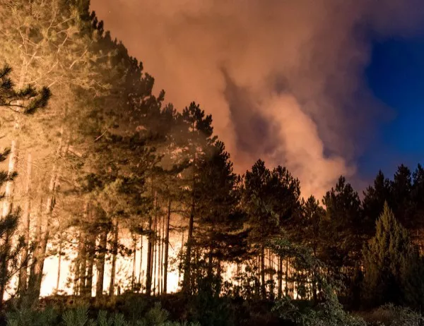 Гръцките власти предупредиха за висок риск от горски пожари