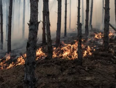 92% от пожарите през лятото са причинени от човешка дейност