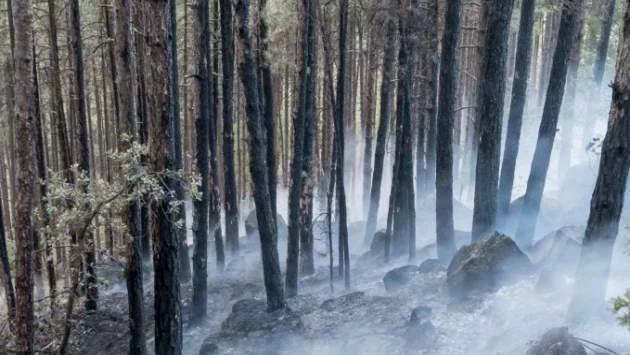 Предупреждение за голяма опасност от пожари в много области в страната