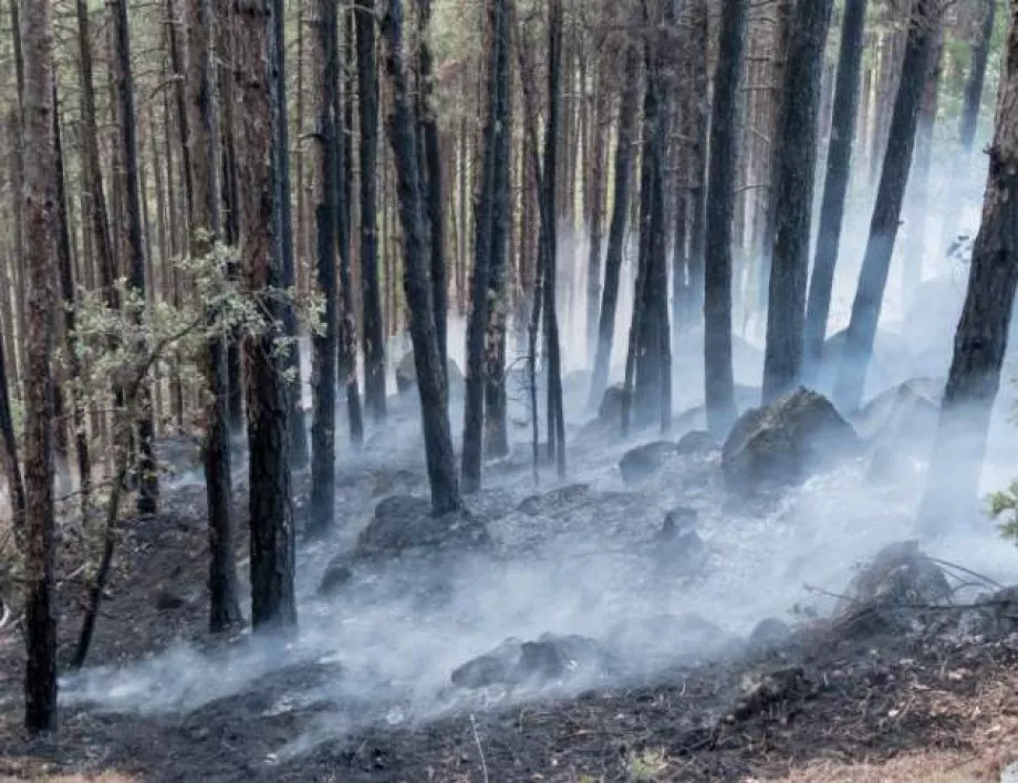 Предупреждение за голяма опасност от пожари в много области в страната