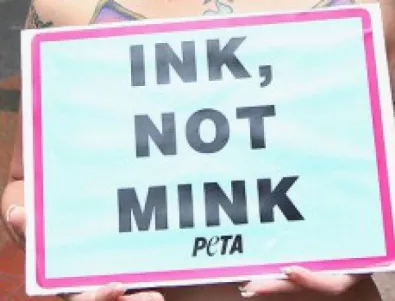 От PETA призоваха премиера да спре отглеждането на американски норки у нас