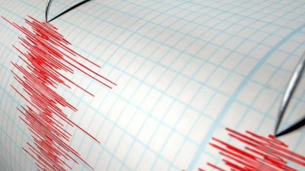 Земетресение от 5,5 по Рихтер край южните брегове на Япония