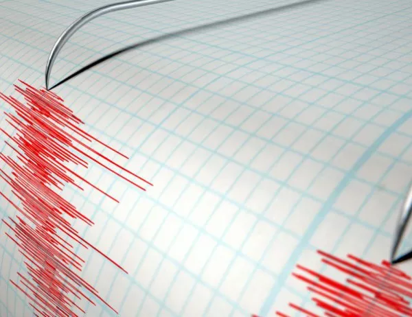 Земетресение от 4,9 по Рихтер удари Япония