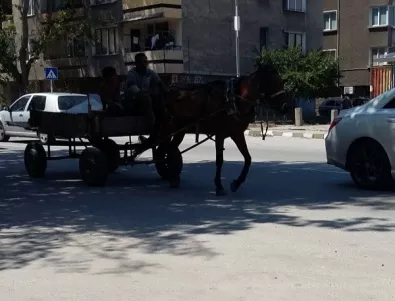 Забраниха движението на каруци по улиците на Асенoвград