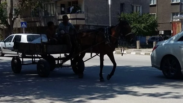 Забраниха движението на каруци по улиците на Асенoвград