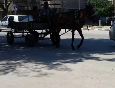 Заради масов бой, ще има забрана каруци да се движат по големите улици в София