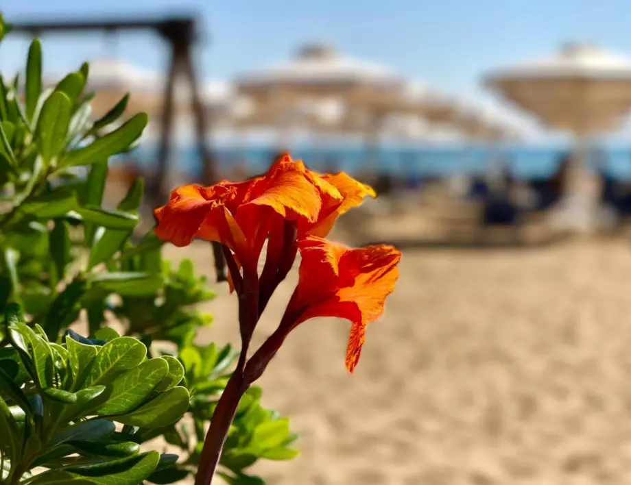 Летният сезон в Гърция започва с отварянето на над 500 плажа