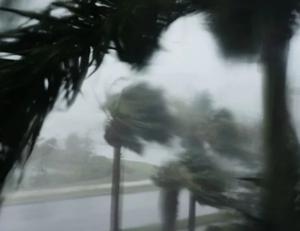 Във Флорида близо 6,5 млн. останаха без електричество заради "Ирма"
