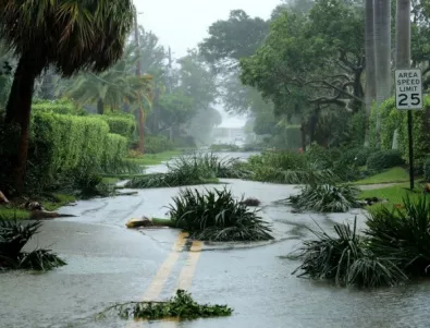 Множество грабежи във Флорида покрай урагана 