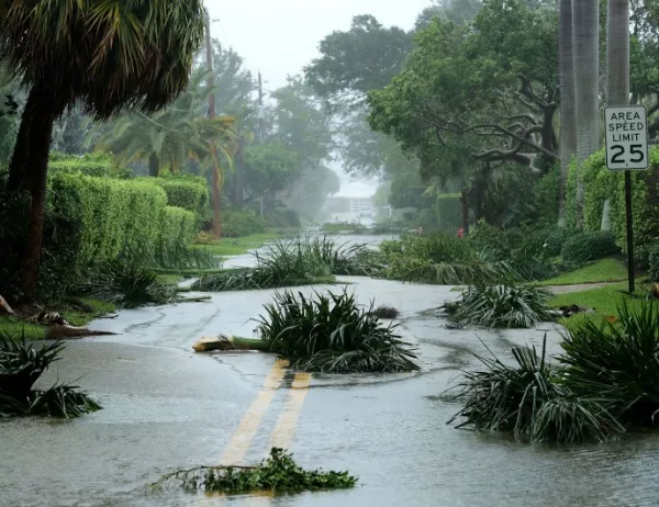 Множество грабежи във Флорида покрай урагана "Ирма"