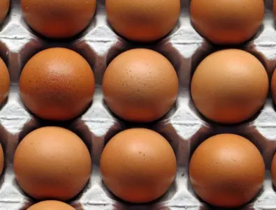 Експерт: Задължително проверявайте това преди да купите яйца