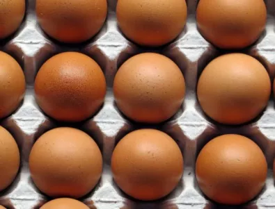 Лидл България изтегли от магазините си яйца, вероятно заразени с фипронил