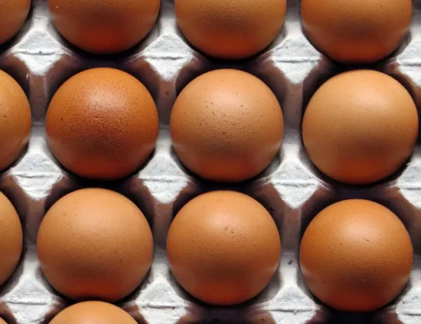 Двойно скочи цената на яйцата в Пазарджик