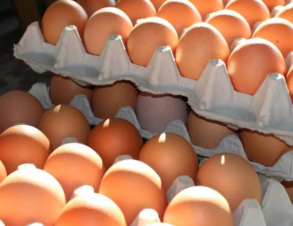 Районната прокуратура в Горна Оряховица се самосезира за яйцата с фипронил