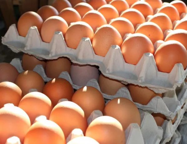 До месец цената на яйцата щяла да се стабилизира