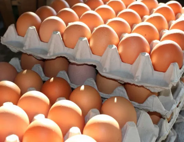 Не се очаква поскъпване на яйцата за Великден 