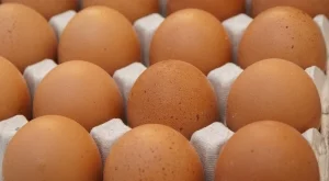 Опасните вещества се натрупват в организма при продължителна консумация на заразени яйца