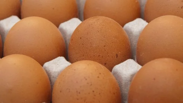 БАБХ: Яйцата от кокошки, болни от птичи грип, не са опасни за хора