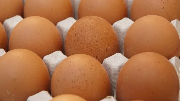 БАБХ извърши над 3000 проверки за Великден 