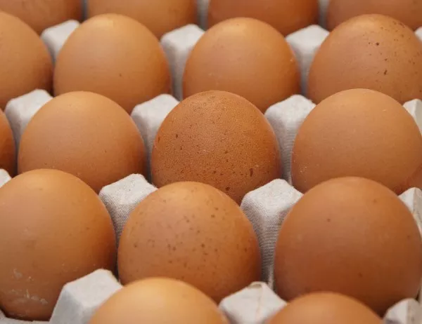 Полша изтегли от магазините повече от 4 млн. заразени яйца