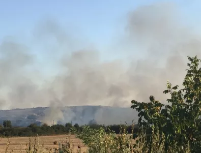 Гасят пожар в гората край Велинград