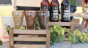 Изложението на българските крафт пивовари Kraftland в Кaufland пристига в Пловдив