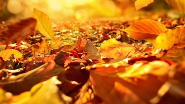 Прогноза за времето - 2 ноември (четвъртък)