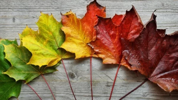 Прогноза за времето - 26 октомври (четвъртък)